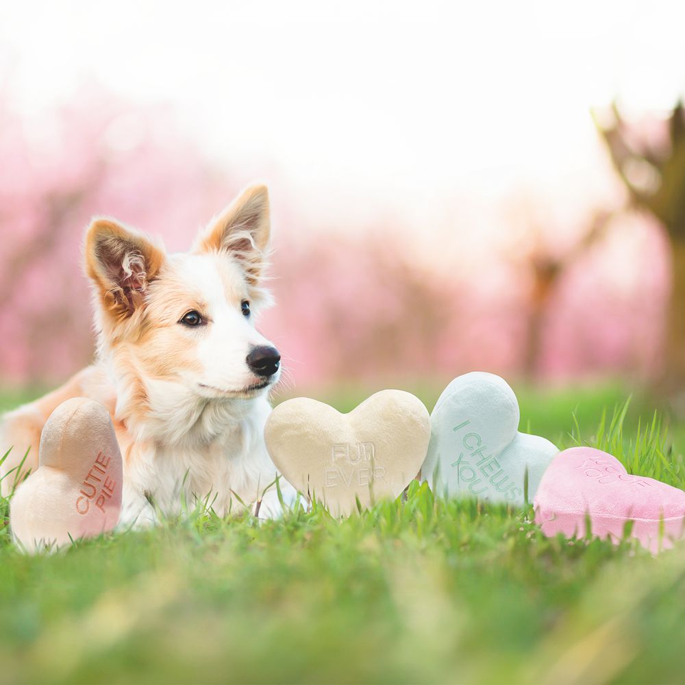 Beeztees Plüsch-Hundespielzeug - Herzchen - 12 cm - Kuscheltier Plüschspielzeug