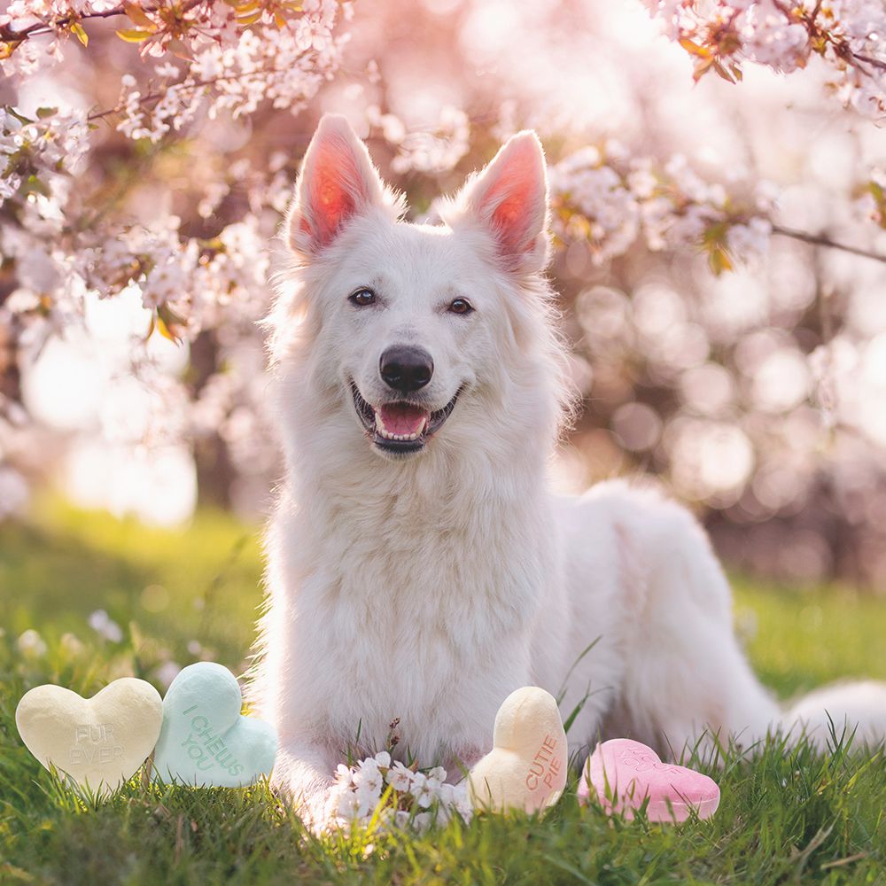 Beeztees Plüsch-Hundespielzeug - Herzchen - 12 cm - Kuscheltier Plüschspielzeug