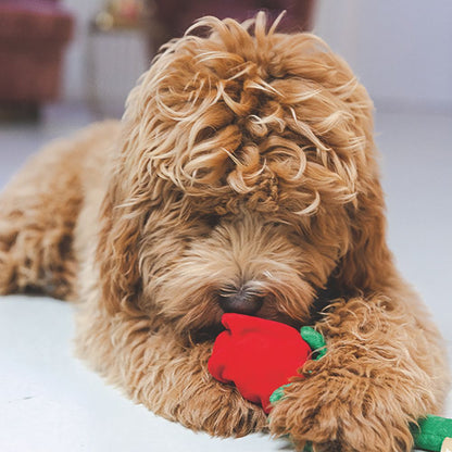 Beeztees Plüsch-Hundespielzeug - rote Rose - 30 cm Plüschspielzeug Kuscheltier