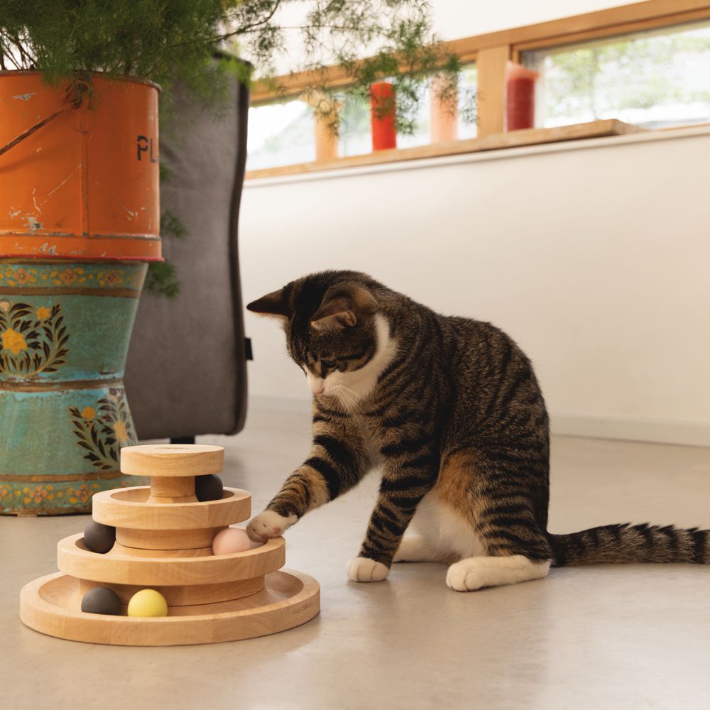 Designed by Lotte Katzenspielzeug MIA - Spielturm - 26 x 14 cm - Holz - 6 Kugeln