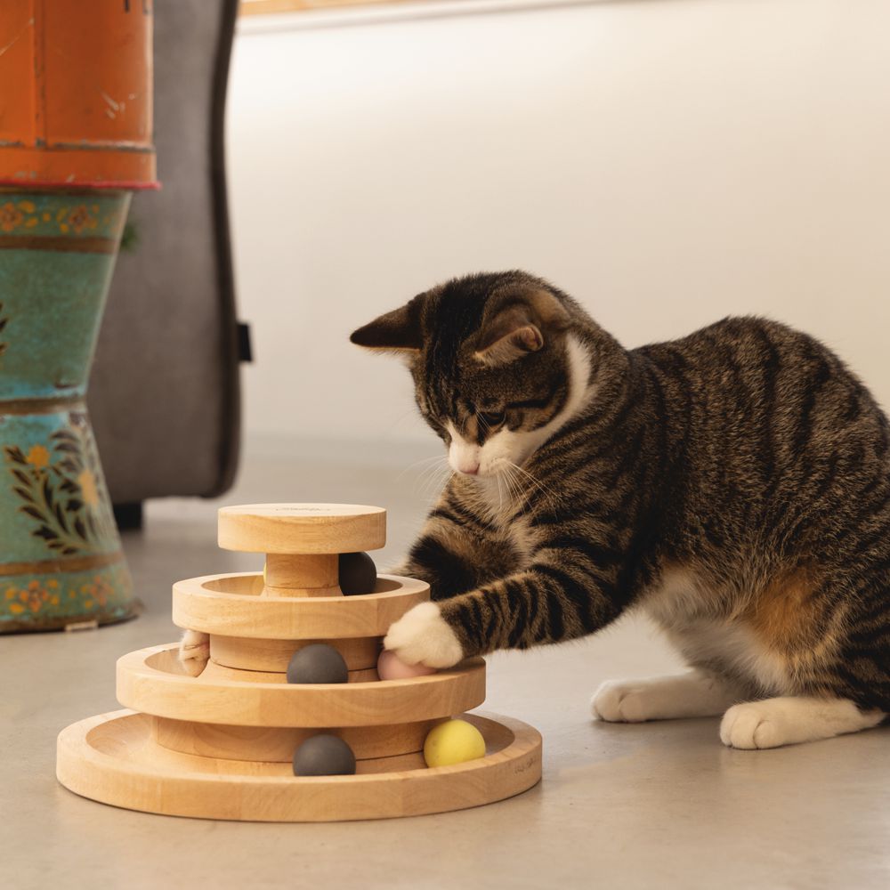 Designed by Lotte Katzenspielzeug MIA - Spielturm - 26 x 14 cm - Holz - 6 Kugeln