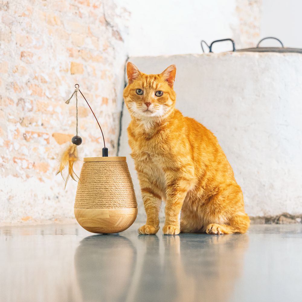 Designed by Lotte Katzenspielzeug MAE - Tumble - 15 x 18 cm - Holz - Feder Kugel