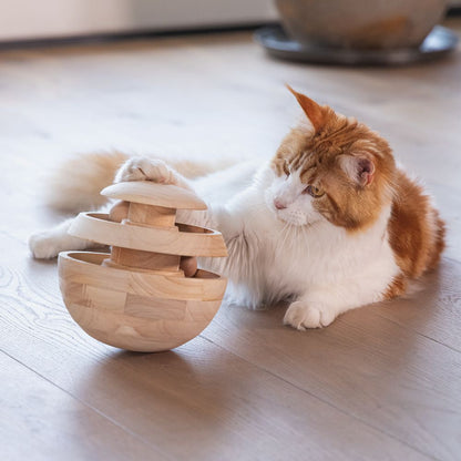 Designed by Lotte Katzenspielzeug NEYA - Spielkugel - Ø 16 cm - Holz - 4 Kugeln