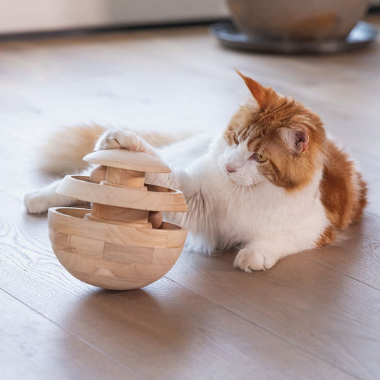 Designed by Lotte Katzenspielzeug NEYA - Spielkugel - Ø 16 cm - Holz - 4 Kugeln