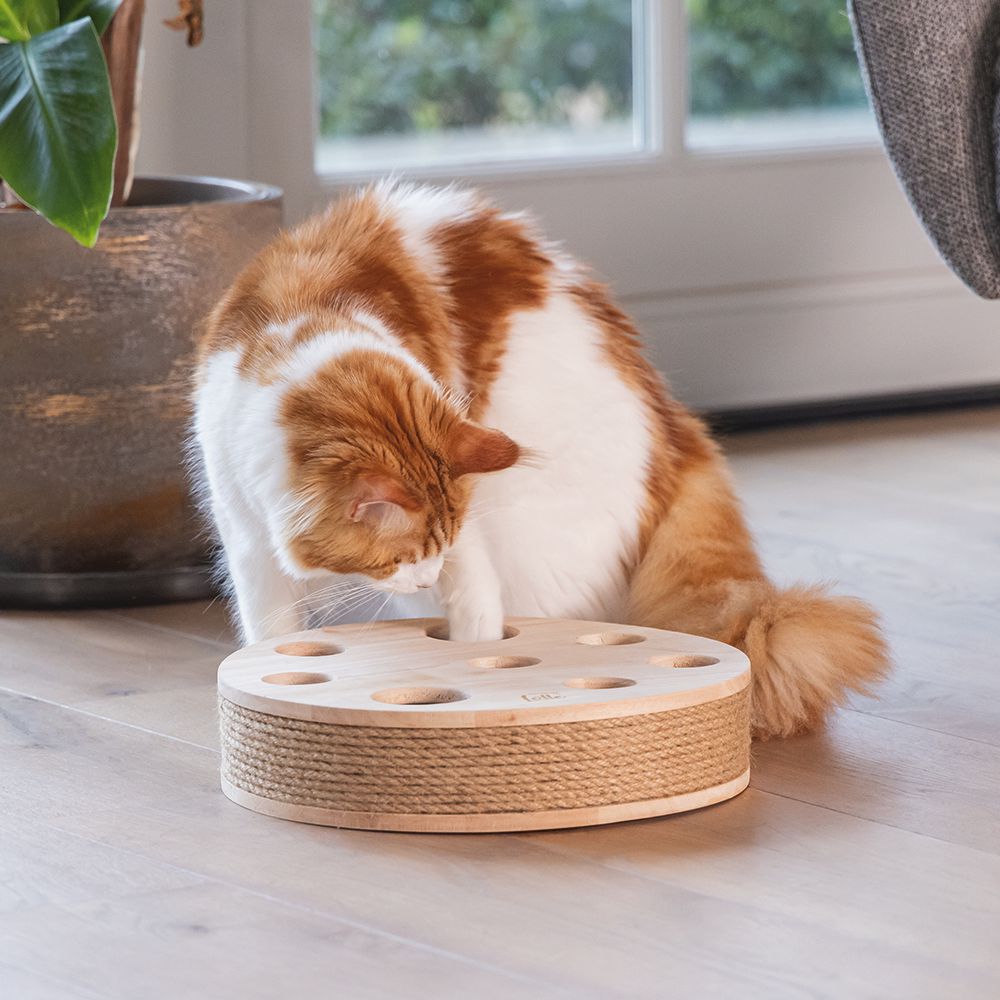 Designed by Lotte Katzenspielzeug RAYA - 30 x 7 cm - Holz - 2 Kugeln Kratzbrett