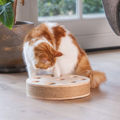 Designed by Lotte Katzenspielzeug RAYA - 30 x 7 cm - Holz - 2 Kugeln Kratzbrett