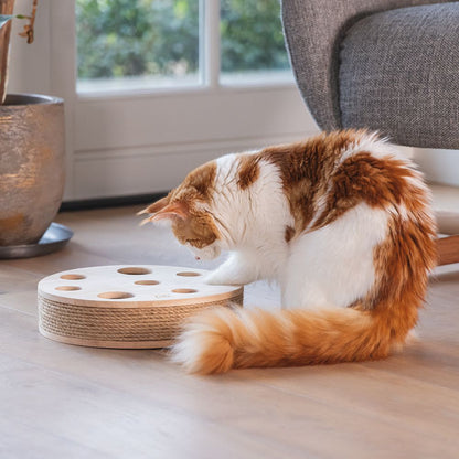 Designed by Lotte Katzenspielzeug RAYA - 30 x 7 cm - Holz - 2 Kugeln Kratzbrett