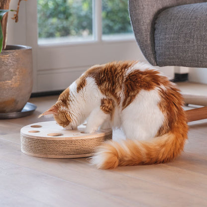 Designed by Lotte Katzenspielzeug RAYA - 30 x 7 cm - Holz - 2 Kugeln Kratzbrett