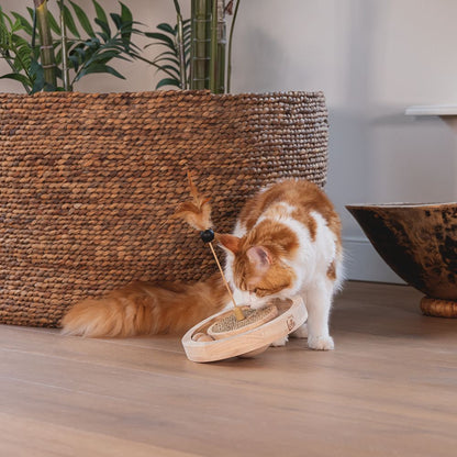 Designed by Lotte Katzenspielzeug WINNI - Ø 22 cm - Holz - 2 Kugeln Kratzbrett