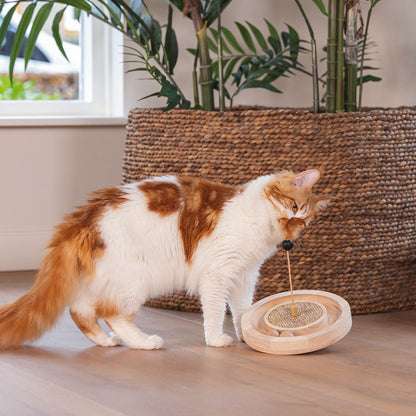 Designed by Lotte Katzenspielzeug WINNI - Ø 22 cm - Holz - 2 Kugeln Kratzbrett