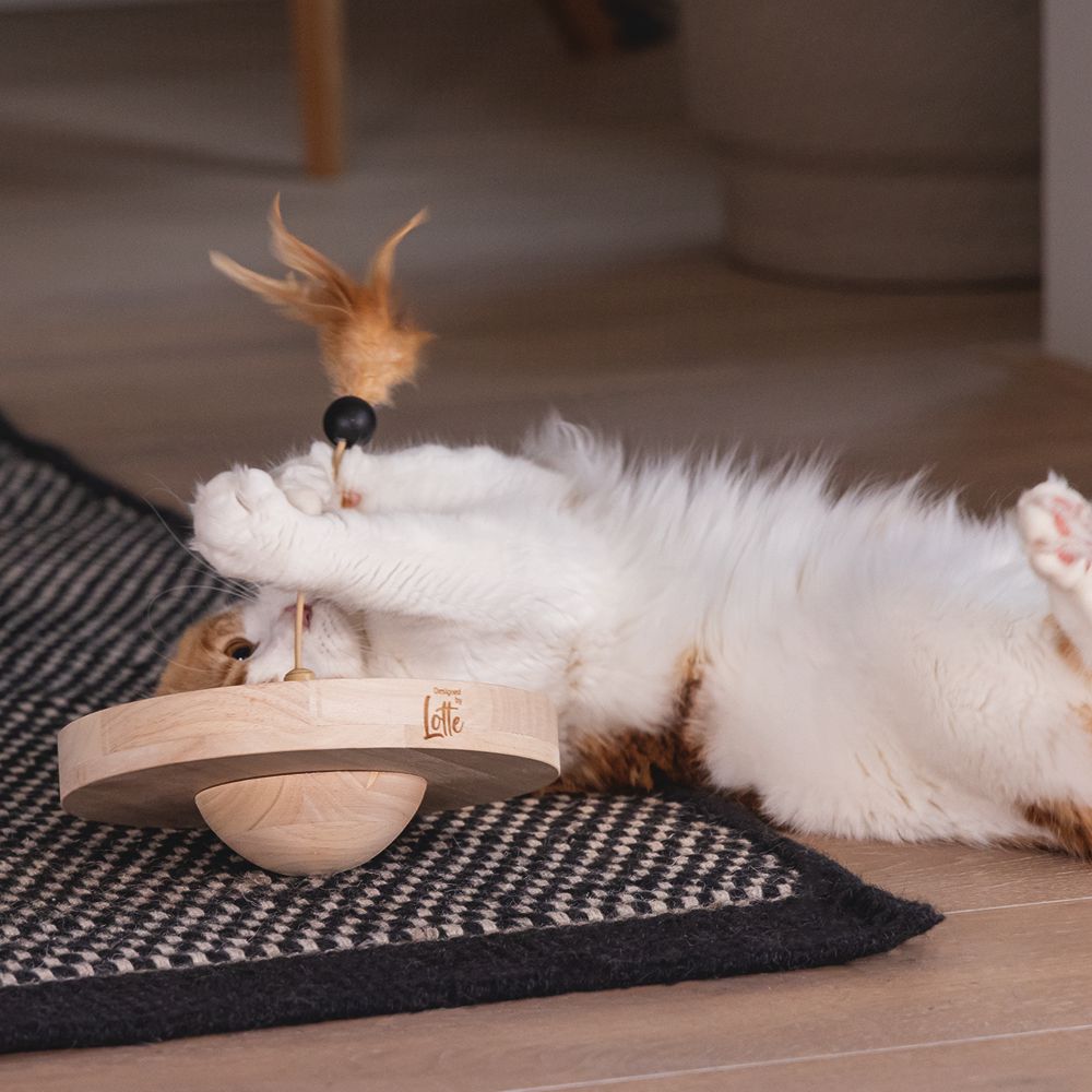 Designed by Lotte Katzenspielzeug WINNI - Ø 22 cm - Holz - 2 Kugeln Kratzbrett