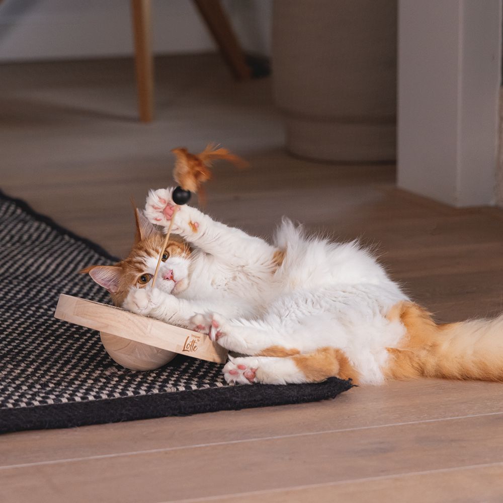 Designed by Lotte Katzenspielzeug WINNI - Ø 22 cm - Holz - 2 Kugeln Kratzbrett