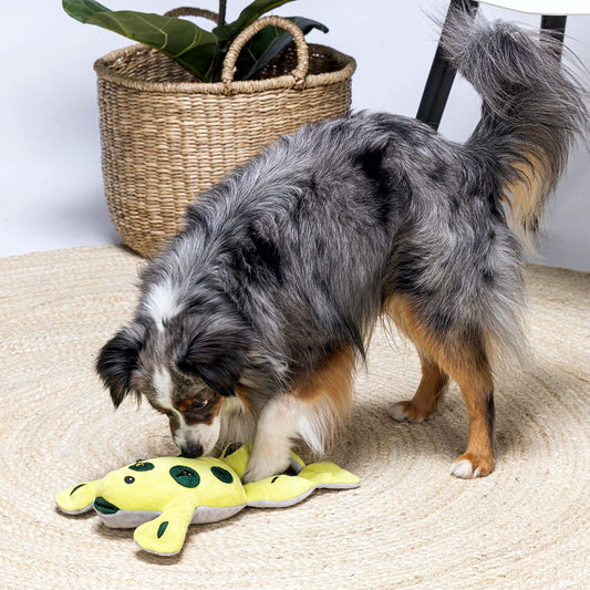 Beeztees Hide&Seek FROSCH - Snackspielzeug - Plüsch-Hundespielzeug Kuscheltier