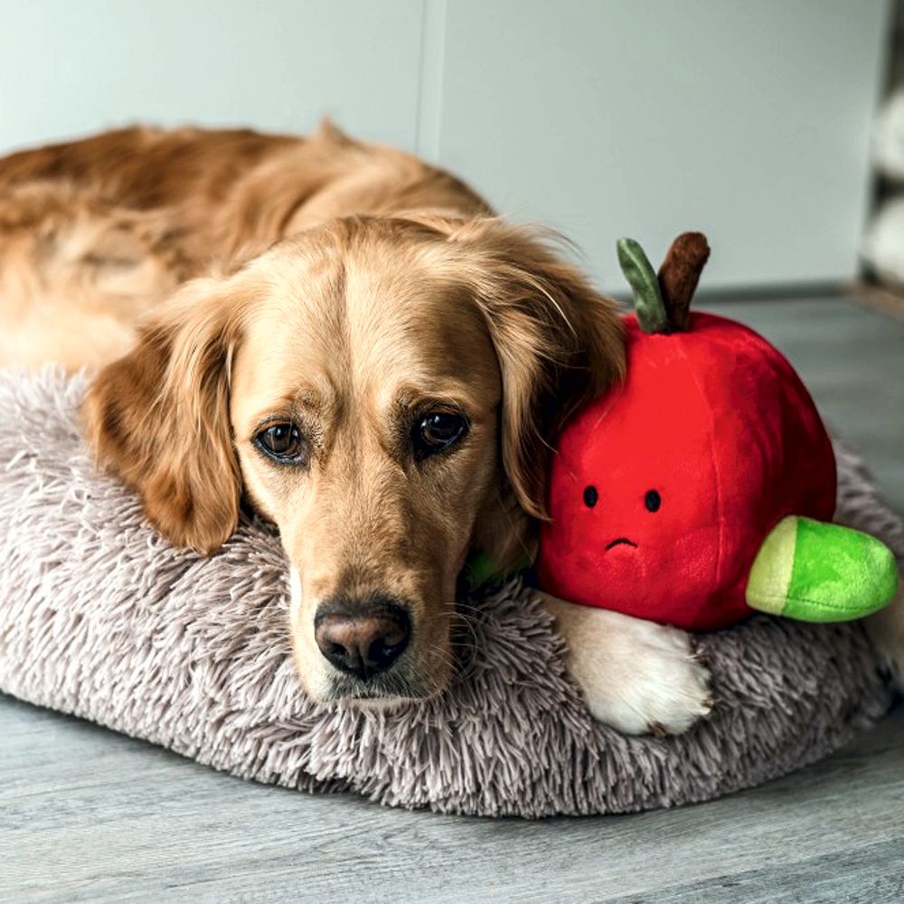 Beeztees Plüsch-Hundespielzeug - Apfel mit Wurm - Versteckspiel ohne Squeaker