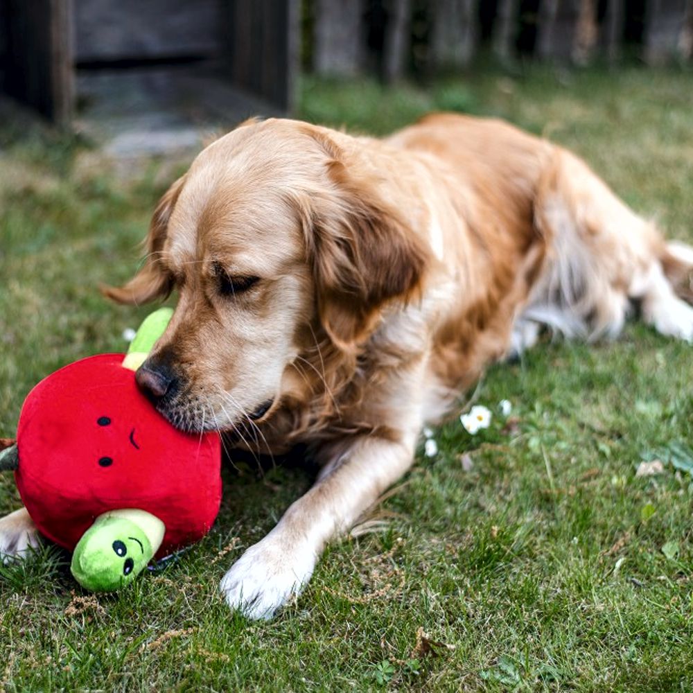 Beeztees Plüsch-Hundespielzeug - Apfel mit Wurm - Versteckspiel ohne Squeaker
