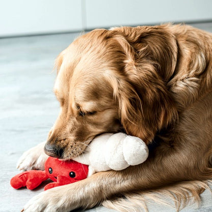 Beeztees Plüsch-Hundespielzeug - Muschel mit Krebs - Versteckspiel ohne Squeaker