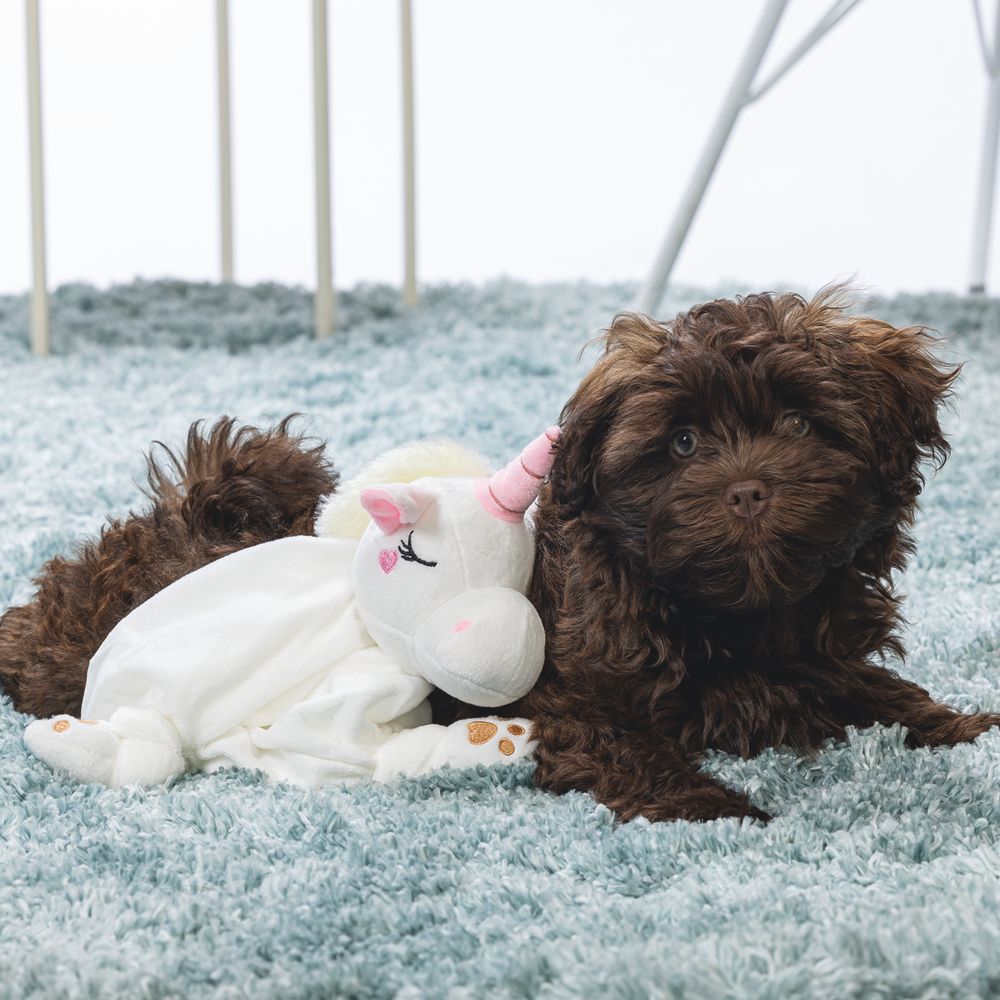Beeztees Welpen Plüsch-Kuscheldecke EINHORN - Schmusetuch Kuscheltuch für Hunde