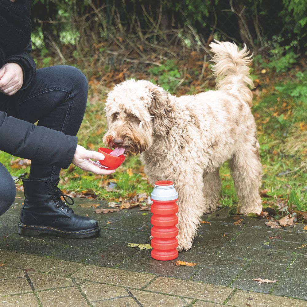 Beeztees Silikon-Trinkflasche KAE - Wassernapf Reisenapf Wasserflasche unterwegs