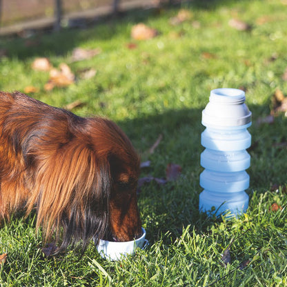 Beeztees Silikon-Trinkflasche KAE - Wassernapf Reisenapf Wasserflasche unterwegs