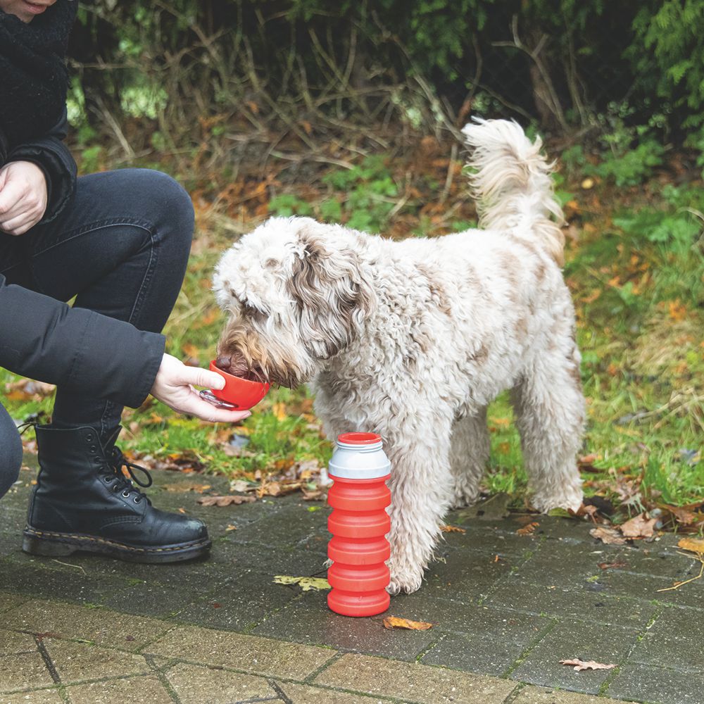 Beeztees Silikon-Trinkflasche KAE - Wassernapf Reisenapf Wasserflasche unterwegs