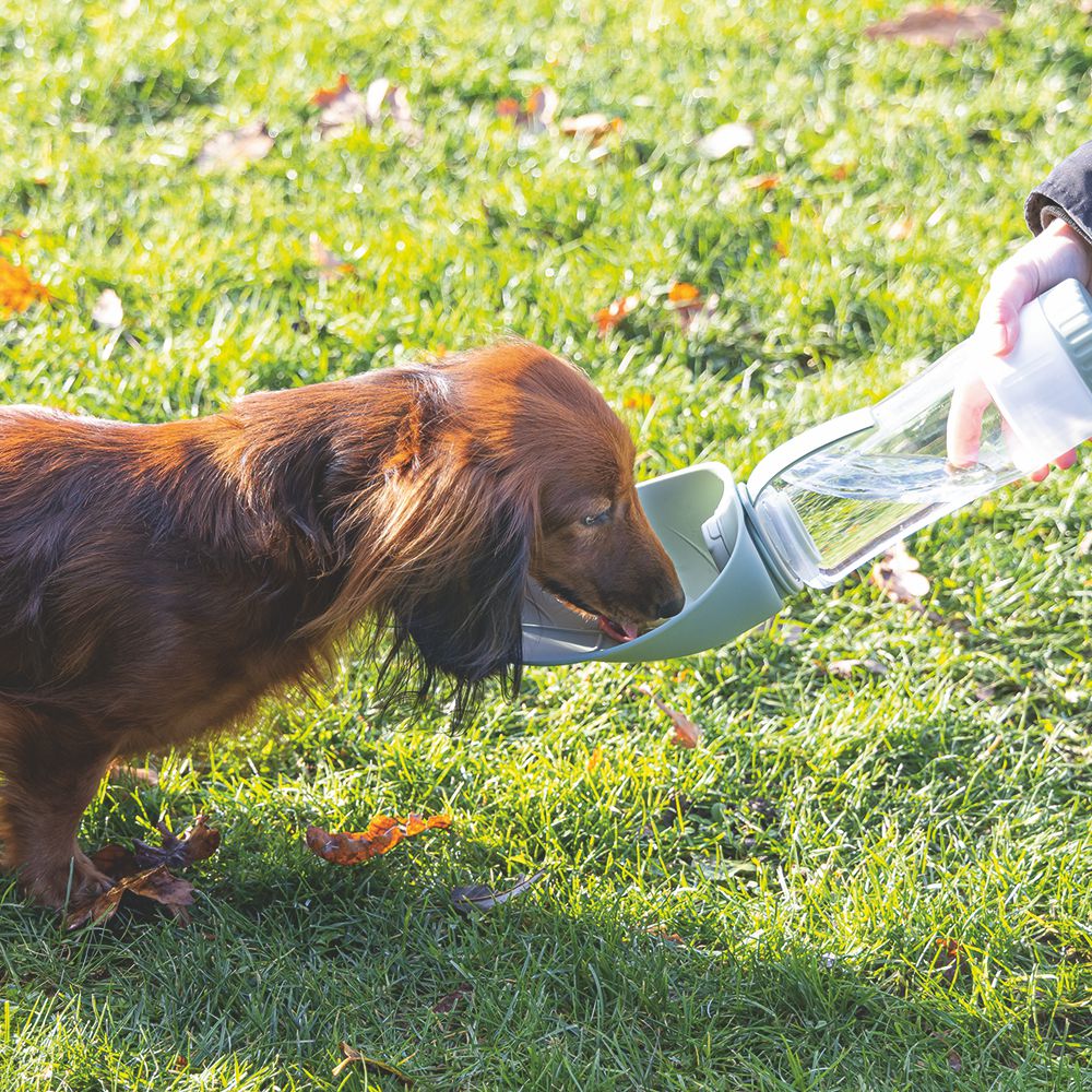 Beeztees Trinkflasche NEL - Silikon Wassernapf Reisenapf Wasserflasche unterwegs