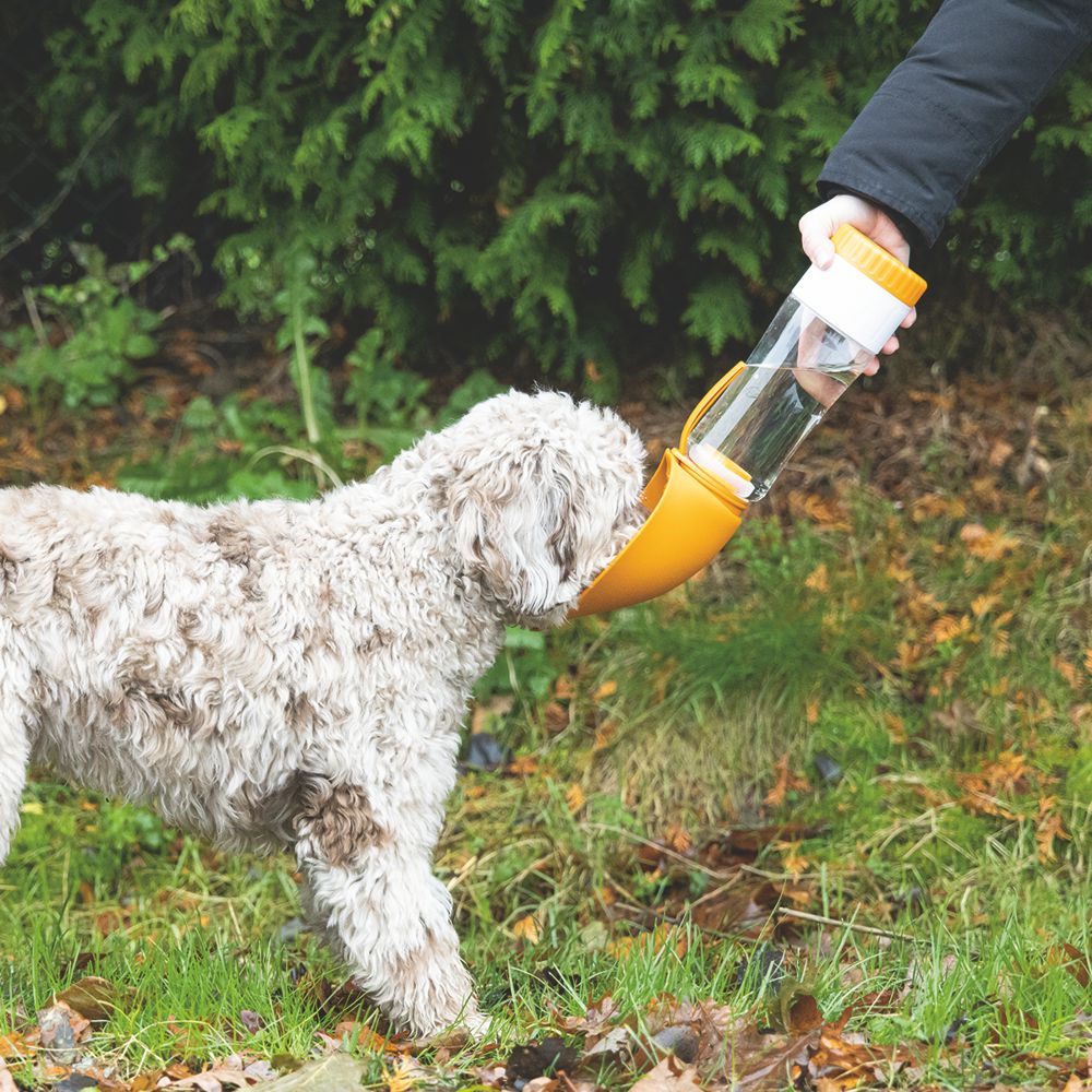 Beeztees Trinkflasche NEL - Silikon Wassernapf Reisenapf Wasserflasche unterwegs