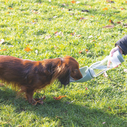 Beeztees Trinkflasche NEL - Silikon Wassernapf Reisenapf Wasserflasche unterwegs