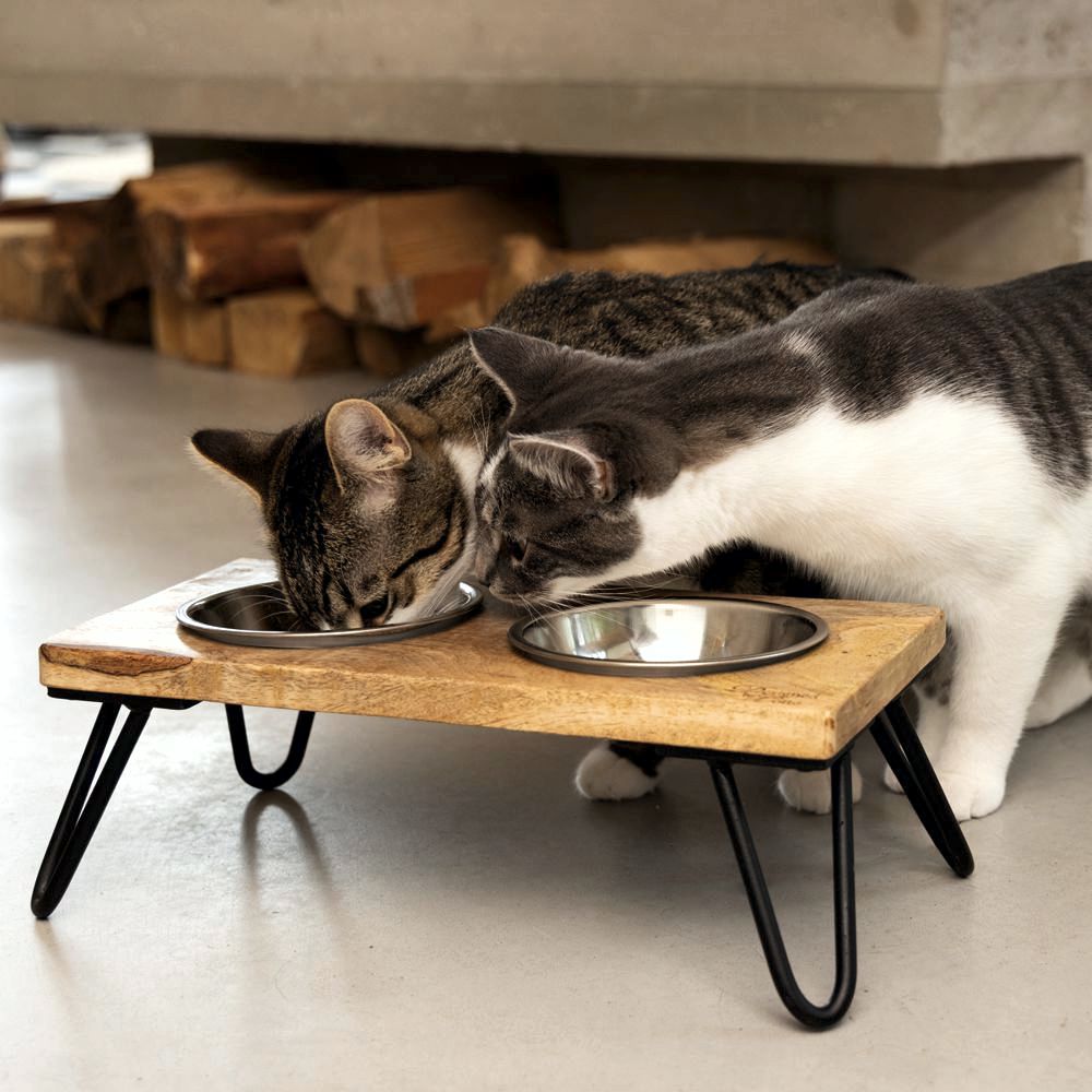 Designed by Lotte - Dinnerset LINGA für Katzen - Holz - mit 2 Edelstahl-Näpfen