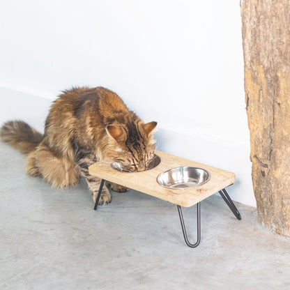 Designed by Lotte - Dinnerset LINGA für Katzen - Holz - mit 2 Edelstahl-Näpfen