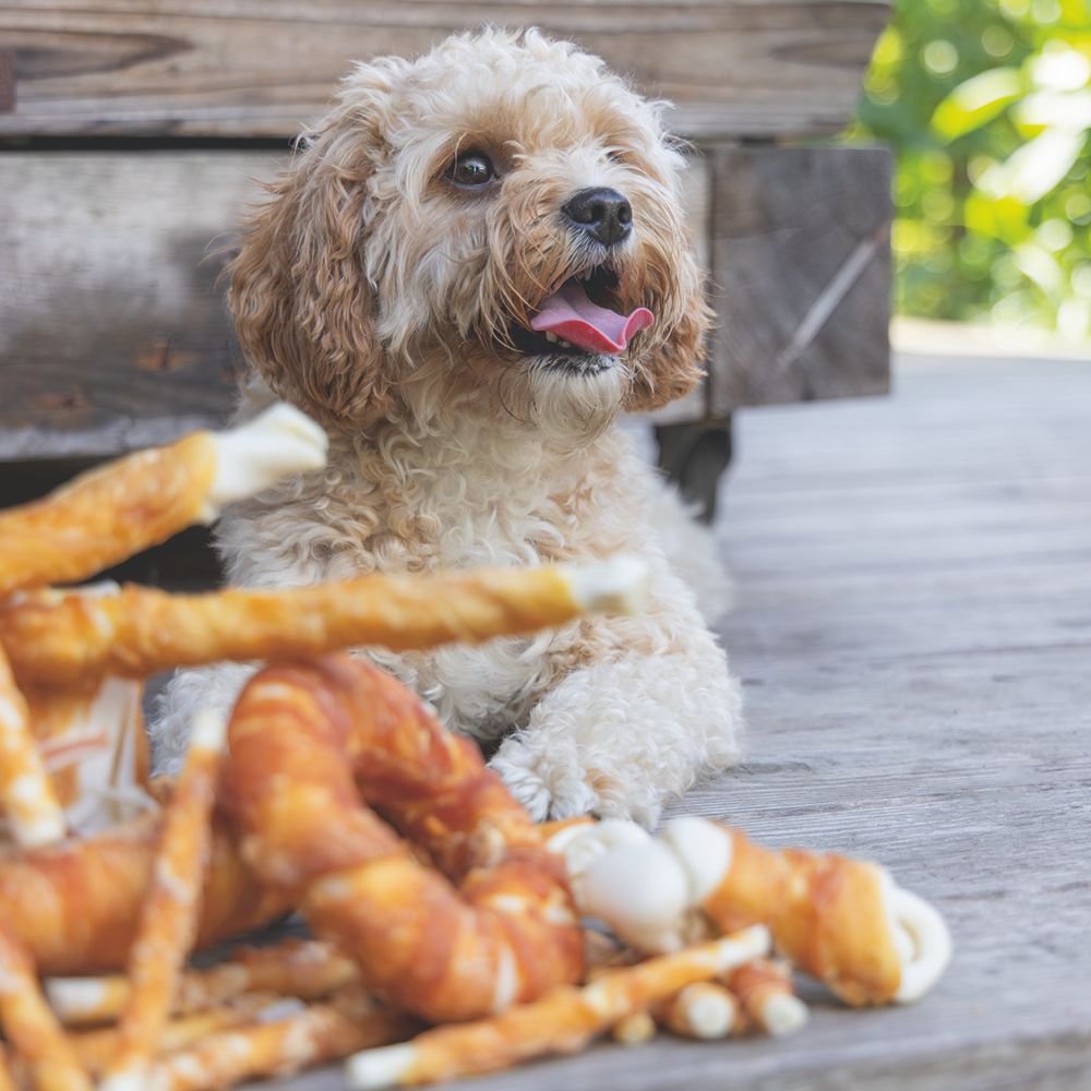 Beeztees Rinderhaut Kaustangen - Huhn - 2 Stück - 15 cm - Hundesnack Kausnack Leckerli
