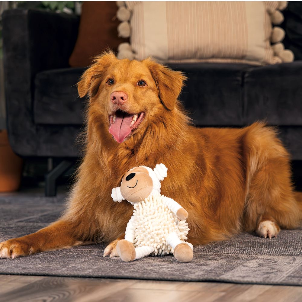 Beeztees ECO friendly Plüsch-Hundespielzeug - Welpenspielzeug - Plüschspielzeug