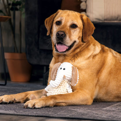 Beeztees ECO Plüsch-Schmusetuch - Hundespielzeug - Welpenspielzeug - Kuscheltuch