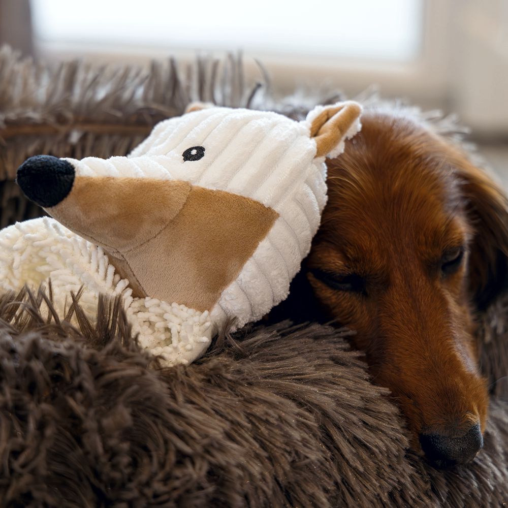 Beeztees ECO Plüsch-Schmusetuch - Hundespielzeug - Welpenspielzeug - Kuscheltuch