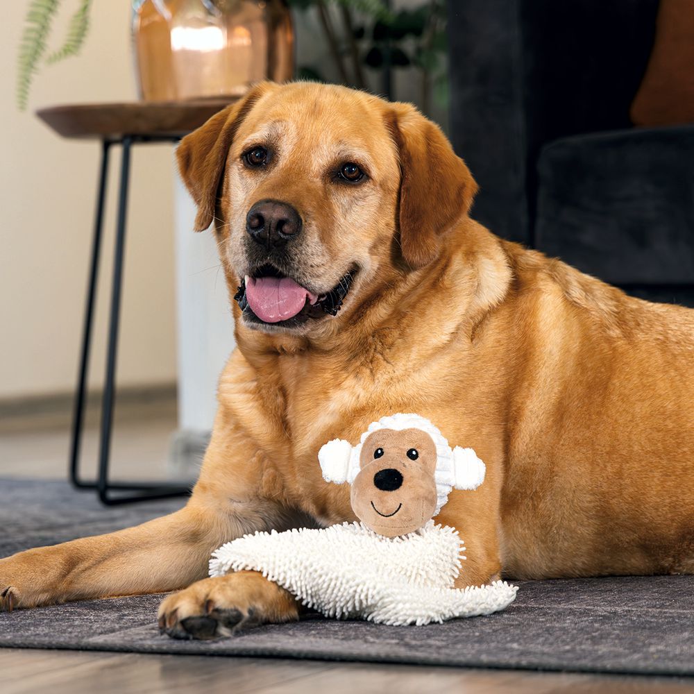 Beeztees ECO Plüsch-Schmusetuch - Hundespielzeug - Welpenspielzeug - Kuscheltuch