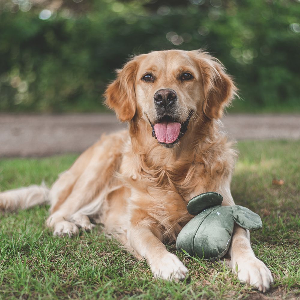 Designed by Lotte Maus ADIO - 18 cm - Samt-Hundespielzeug - Kuscheltier