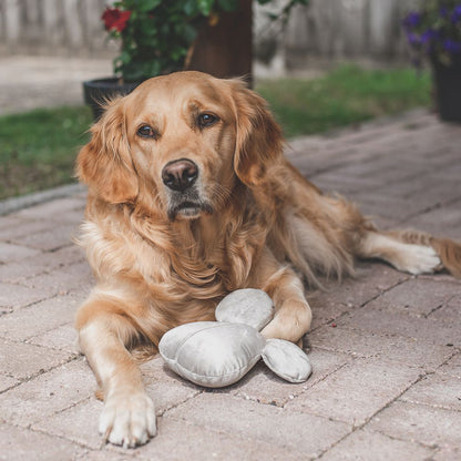 Designed by Lotte Maus ADIO - 18 cm - Samt-Hundespielzeug - Kuscheltier