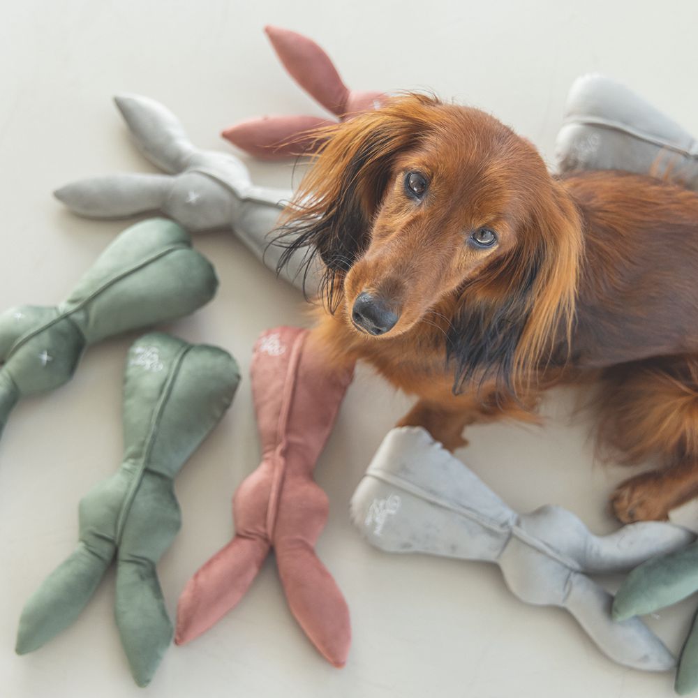 Designed by Lotte Hase ALINA - 27 cm - Samt-Hundespielzeug - Kuscheltier