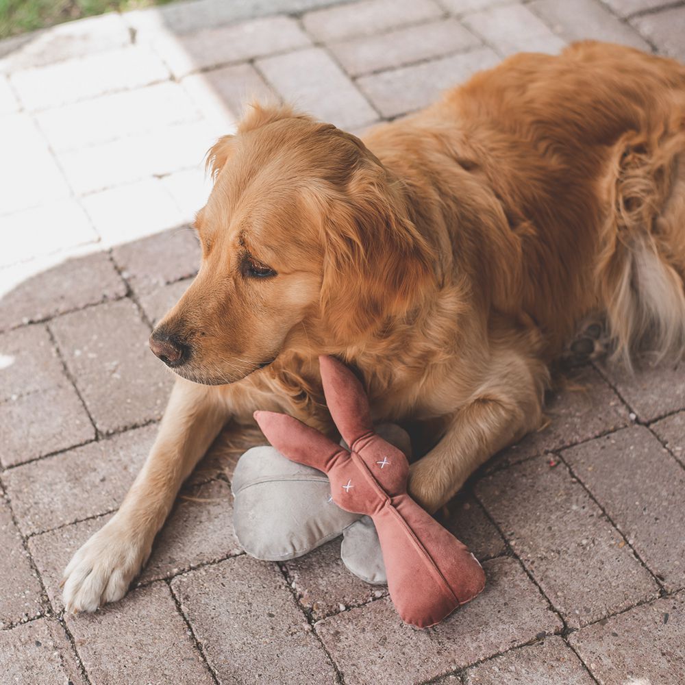 Designed by Lotte Hase ALINA - 27 cm - Samt-Hundespielzeug - Kuscheltier