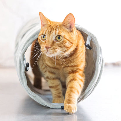 Designed by Lotte Katzentunnel RIBBED - 25 x 75 cm - Spielspaß für Katzen