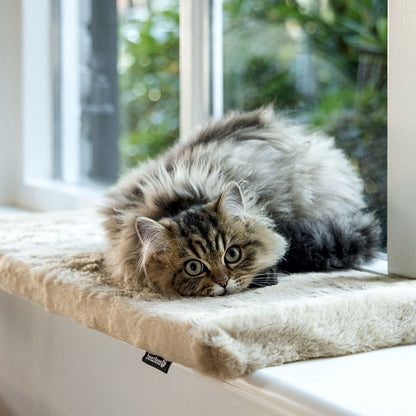 Beeztees Plüsch-Fensterbank-Kissen MOZA - 65x27x3 cm - Liegematte für Katzen