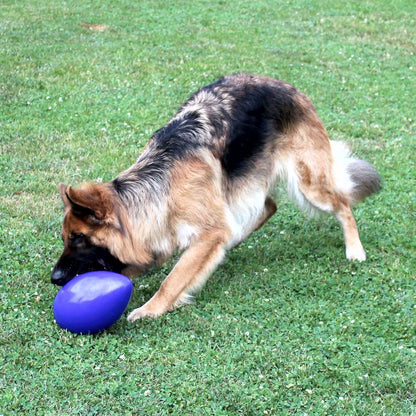 Beeztees Treibei für Hunde - FUNNY EGGY - Spielei - Treibball - Hundespielzeug