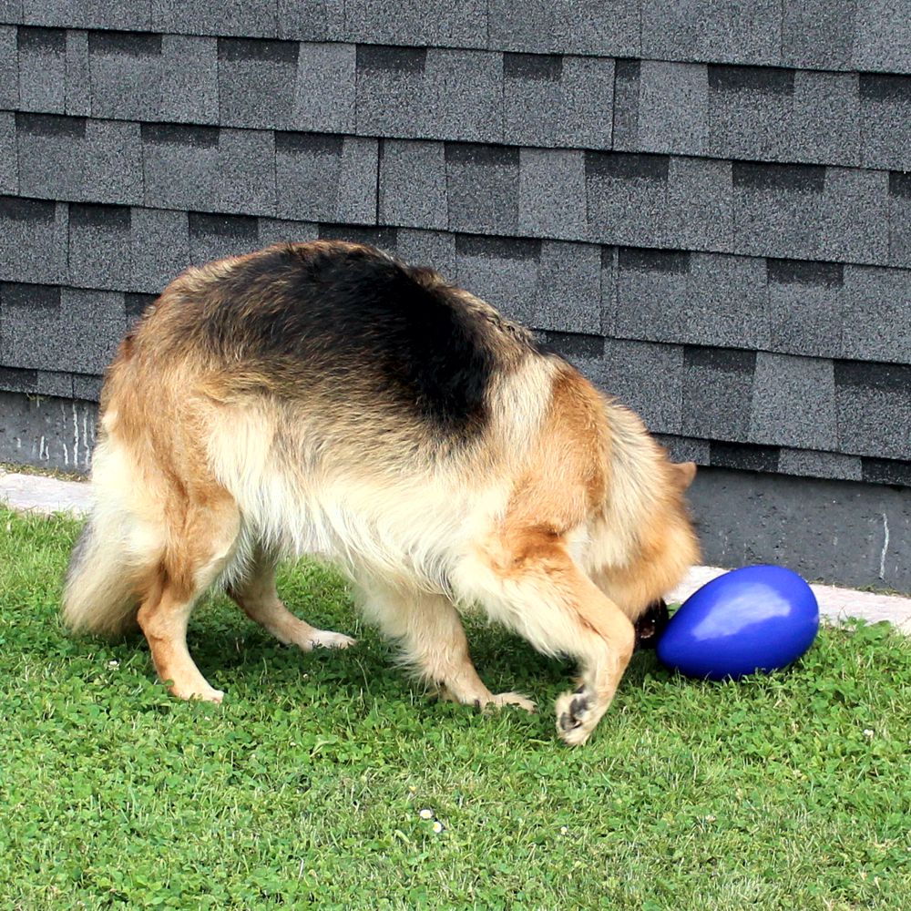 Beeztees Treibei für Hunde - FUNNY EGGY - Spielei - Treibball - Hundespielzeug