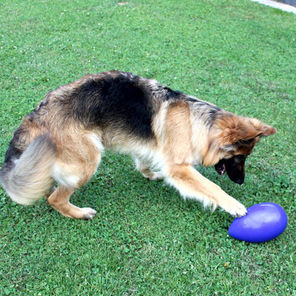 Beeztees Treibei für Hunde - FUNNY EGGY - Spielei - Treibball - Hundespielzeug