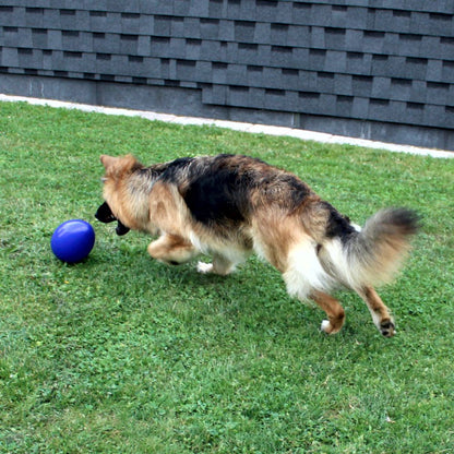 Beeztees Treibei für Hunde - FUNNY EGGY - Spielei - Treibball - Hundespielzeug