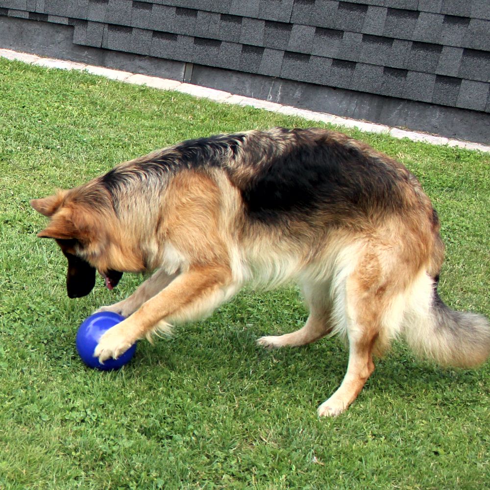 Beeztees Treibei für Hunde - FUNNY EGGY - Spielei - Treibball - Hundespielzeug