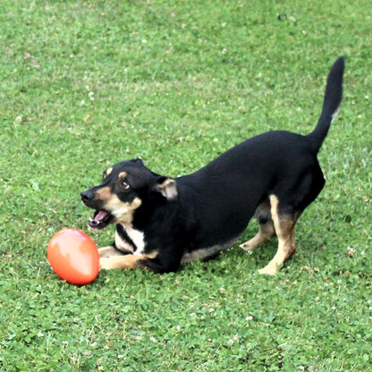Beeztees Treibei für Hunde - FUNNY EGGY - Spielei - Treibball - Hundespielzeug