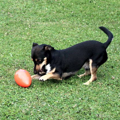 Beeztees Treibei für Hunde - FUNNY EGGY - Spielei - Treibball - Hundespielzeug
