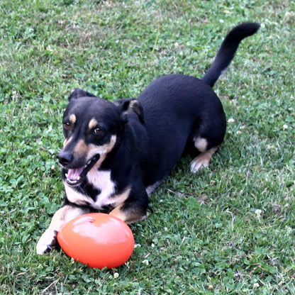 Beeztees Treibei für Hunde - FUNNY EGGY - Spielei - Treibball - Hundespielzeug