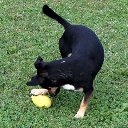 Beeztees Treibei für Hunde - FUNNY EGGY - Spielei - Treibball - Hundespielzeug
