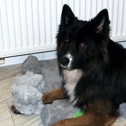 Beeztees Plüsch-Hundespielzeug - 40 cm - Kuscheltier Plüschtier ohne Squeaker